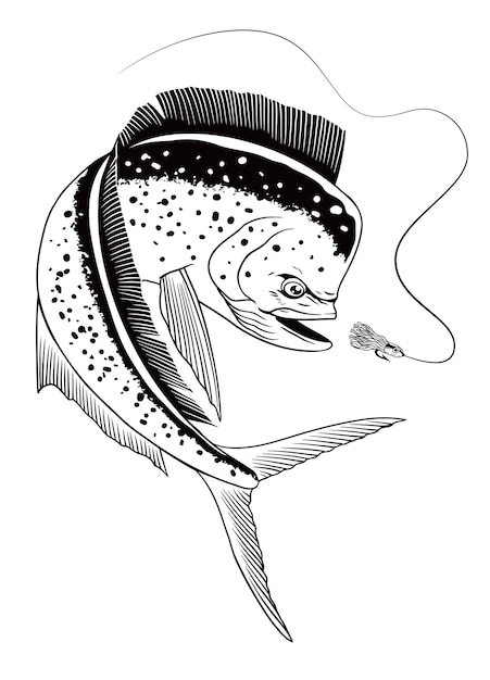 マヒマヒの魚を捕まえる釣りのイラスト 黒と白