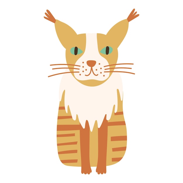 Maine Coon Cat portrait on isolated background Vector illustration