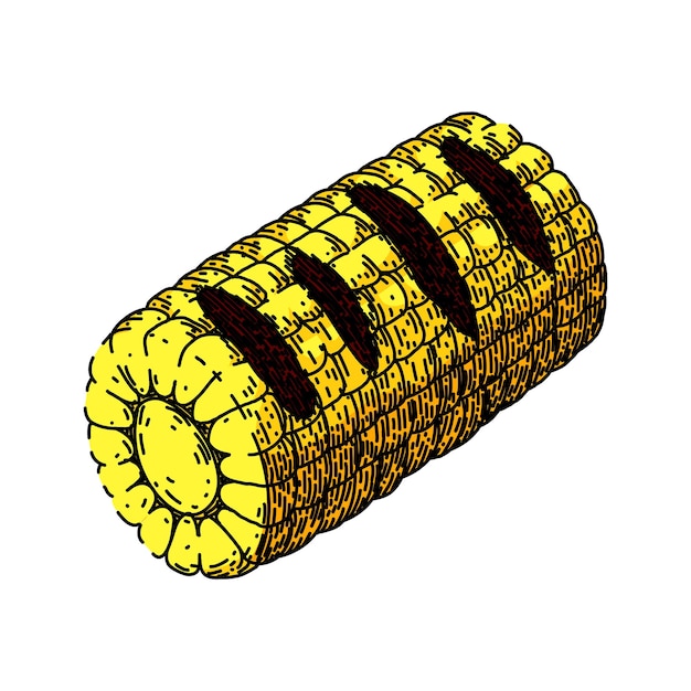 Maïs gegrilde groenten schets hand getekende vector