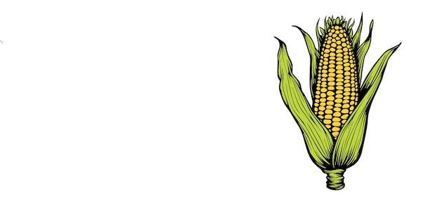 Maïssicoon met de hand getekende illustratie zwart-wit