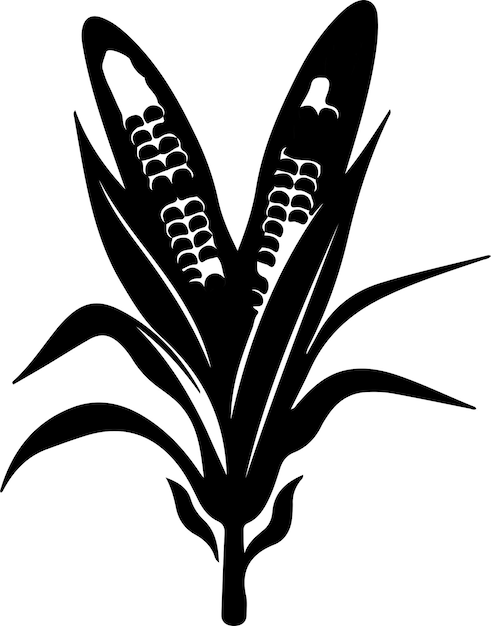 Vector maize black silhouette with transparent background