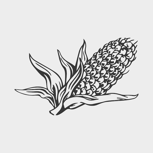 Vector maize coloring page black and white hand drawn maize kids graphic