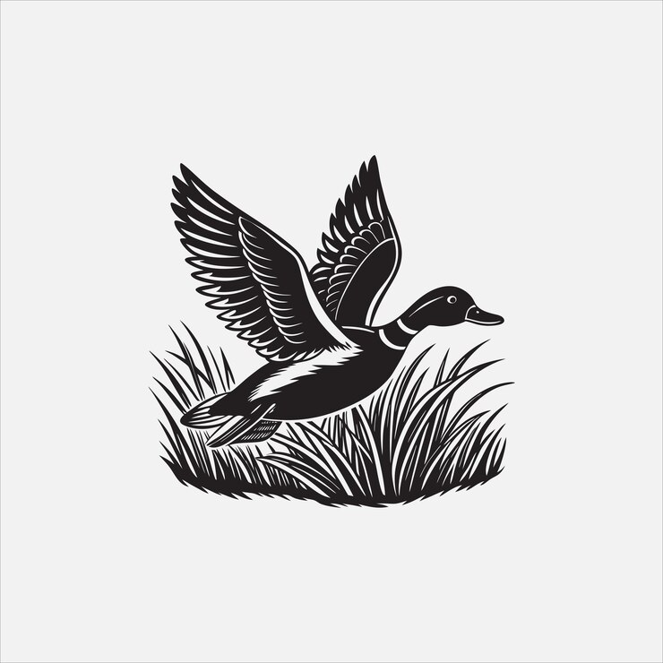 Vector majestic duck in flight a black and white illustration of natures grace