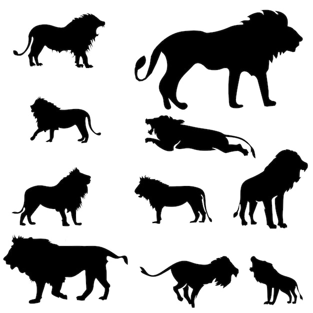 Majestic Lion Vector Art voor Wildlife en Safari Design Themes