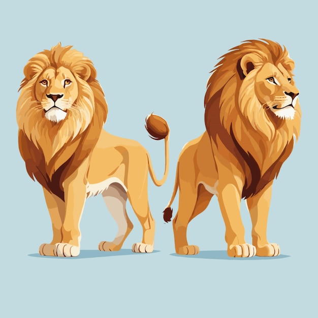Vector majestic lions vector on white background