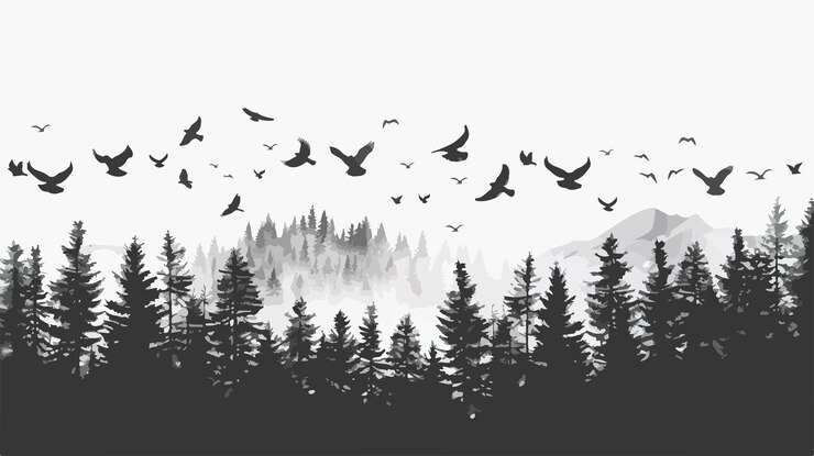 Vector majestic silhouette of forest and flying birds with mountain background