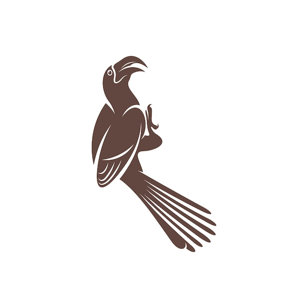 Malabar Grey Hornbill vector illustration design Malabar Grey Hornbill Silhouette Hornbill design template