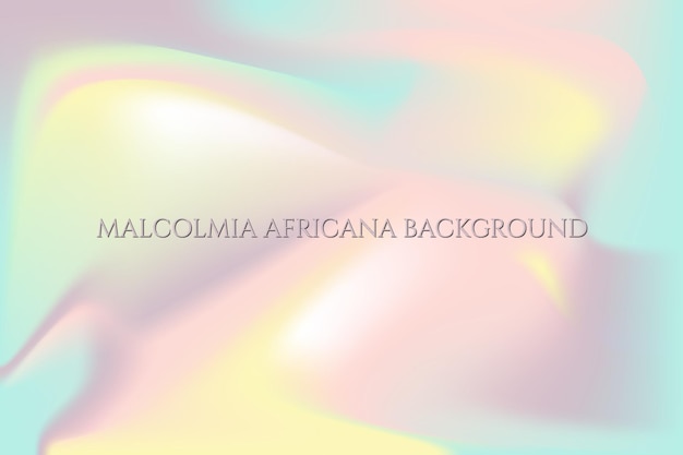 Vector malcolmia africana background textura granulada degradado gradiente