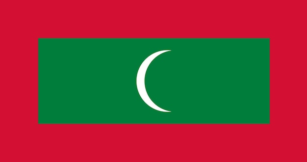 Vector maldives flag in vector