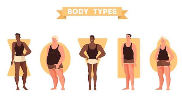 Vector male body shapes set. triangle and rectangle, pear and apple figure. human anatomy.  illustration in cartoon style