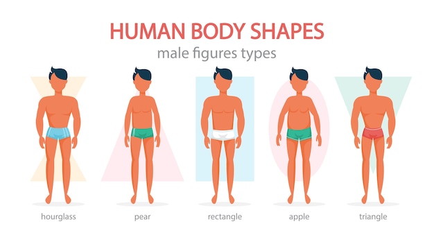 Vector male body shapes set. triangle and rectangle, pear and apple