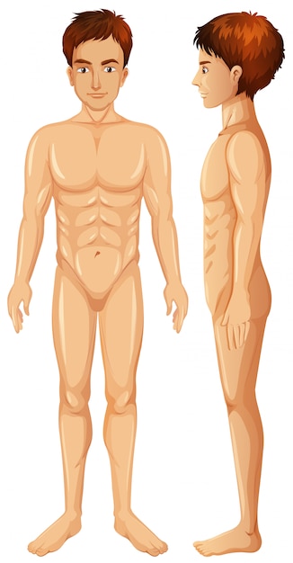 Free Vector  Back of human female with pain spots