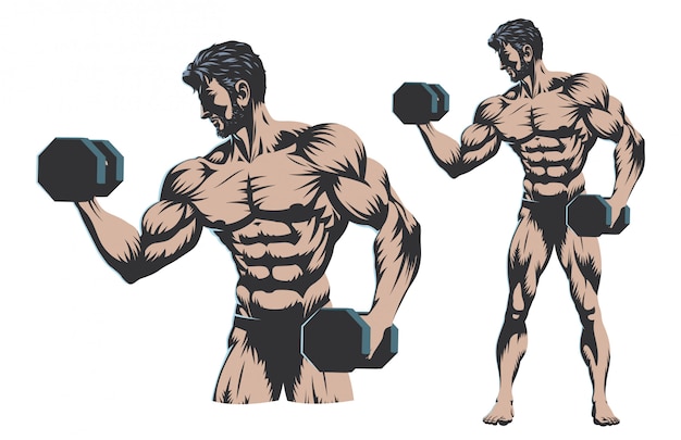 Vector male bodybuilder full body with dumbbell