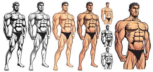 Vettore bodybuilder maschio corpo pieno