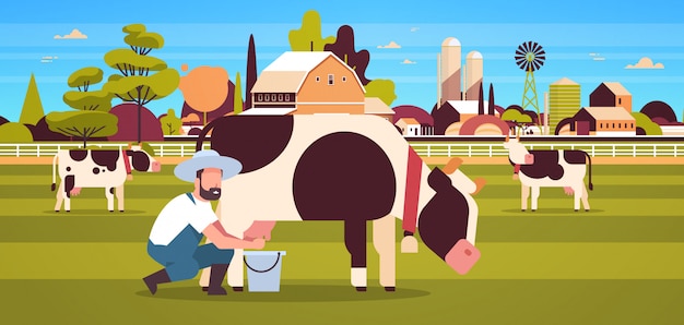 Male farmer milking cow in bucket farm domestic animal cattle fresh milk farmland barn countryside landscape