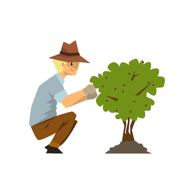 Male farmer picking berries from bush gardener at work vector illustration on a white background