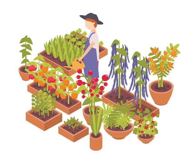 남성 농부 급수 야채와 꽃 재배 재배자 흰색 절연
