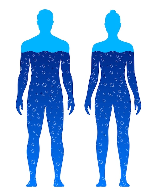 Male and female body filled with blue water vector illustration isolated on white background