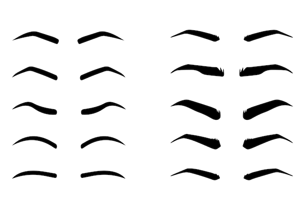 Male and female eyebrows of different shapes