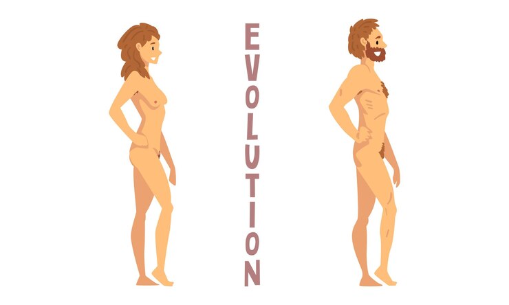 वेक्टर male and female homo sapiens as biology and human evolution stage vector set
