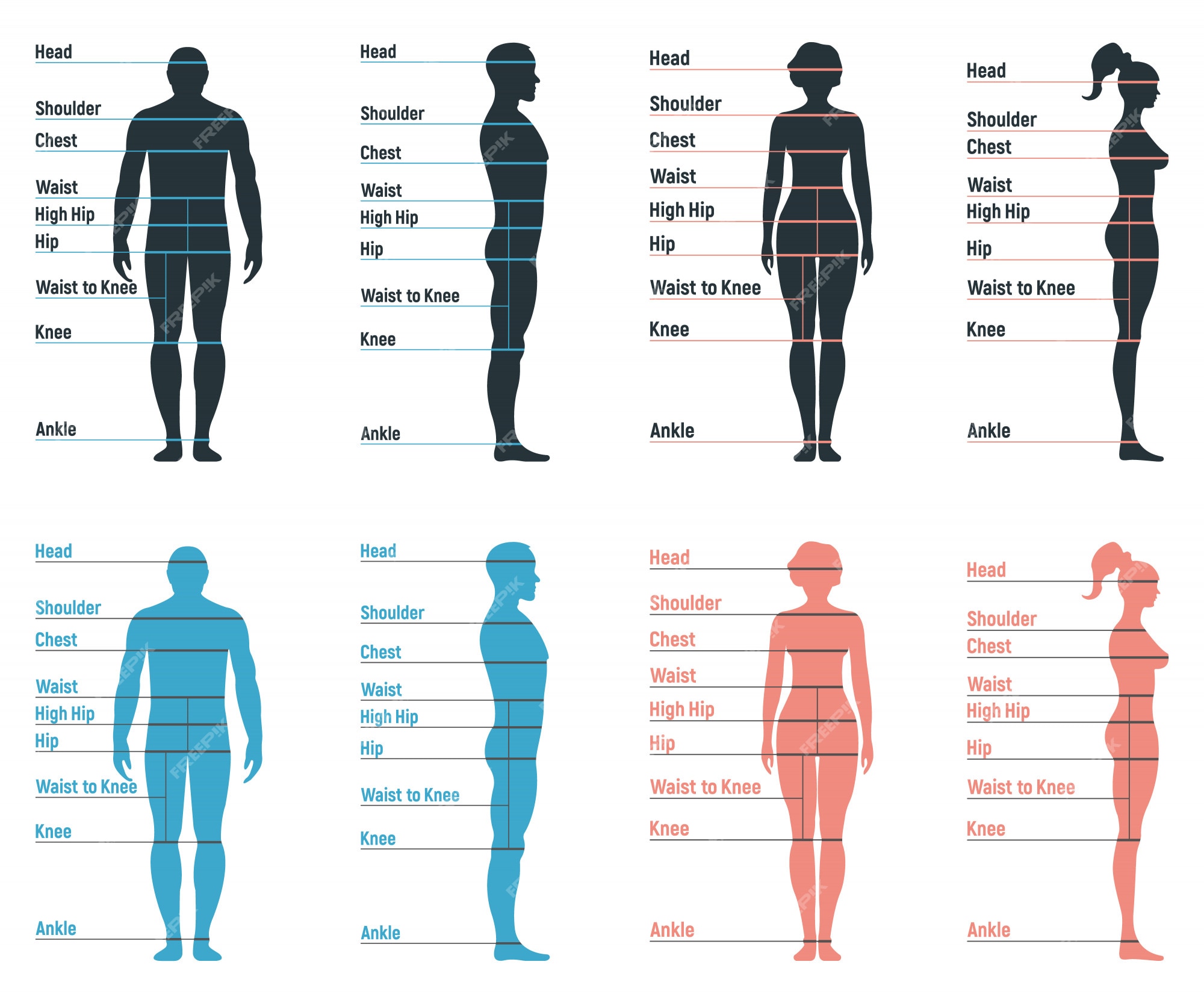 Premium Vector  Woman body measurement chart female figure front and back  views vector