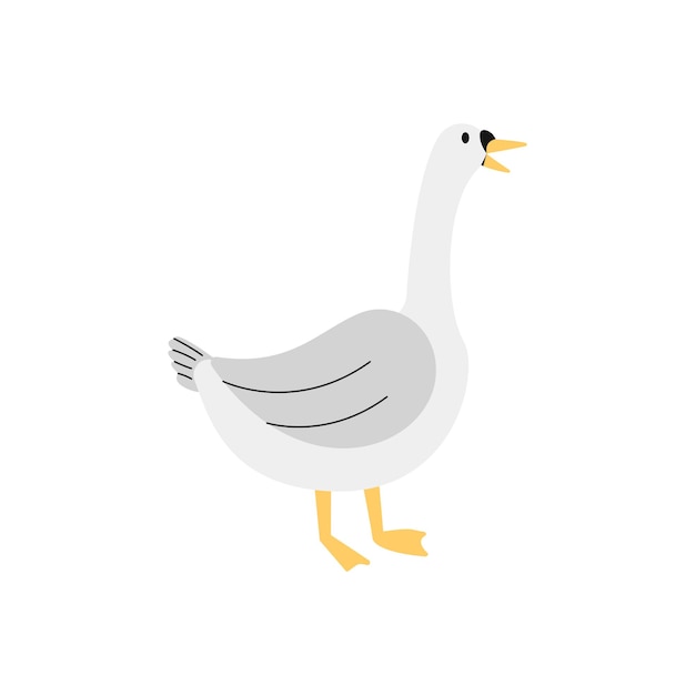 Vector male goose illustration