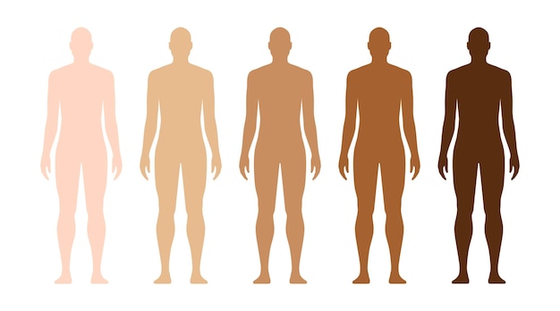 Modello umano maschile con diverse tonalità della pelle. illustrazione di vettore di esempi di colore della pelle della razza umana, isolata su priorità bassa bianca.