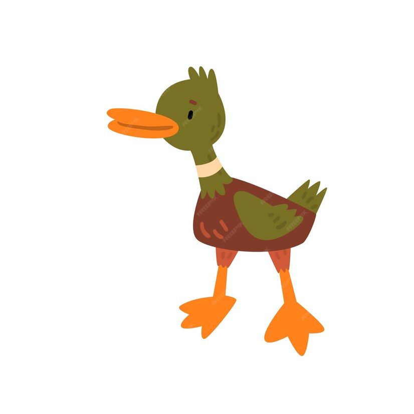 Premium Vector | Male Mallard Duckling Cartoon Character Vector