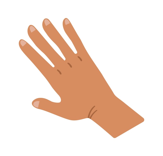 Vector male palm with splayed fingers