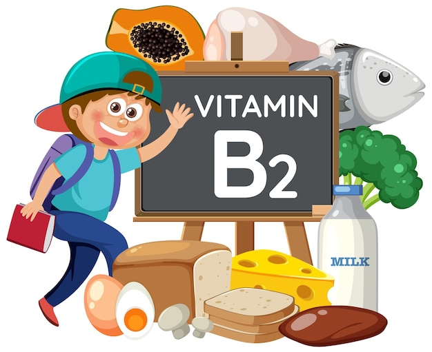 Male Student with Vitamin B2 and Food