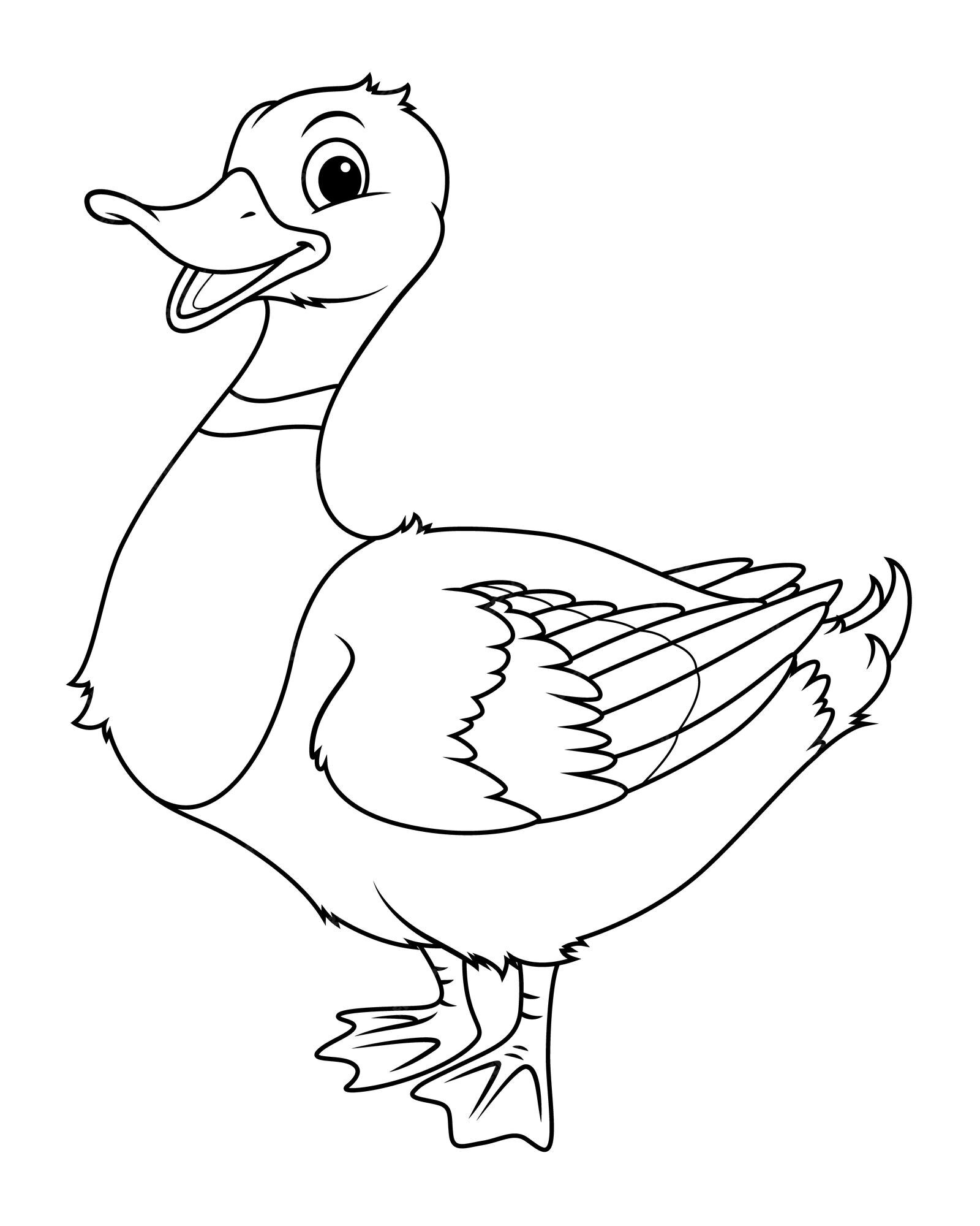 Premium Vector | Mallard Duck Cartoon Animal Illustration BW
