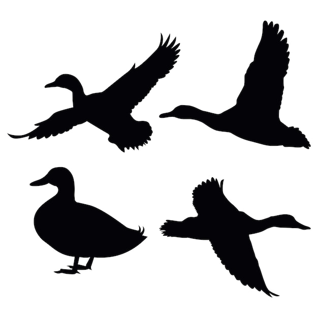 mallard duck silhouette vector illustration