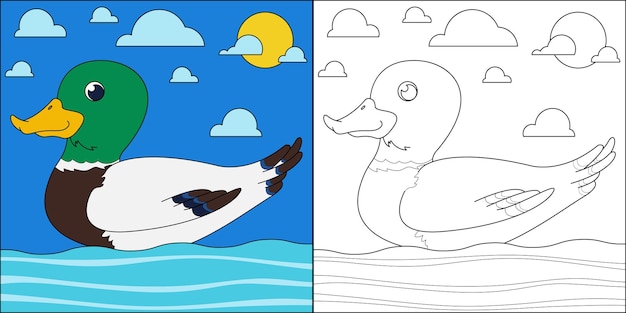 Mallard duck swimming suitable for children's coloring page vector illustration