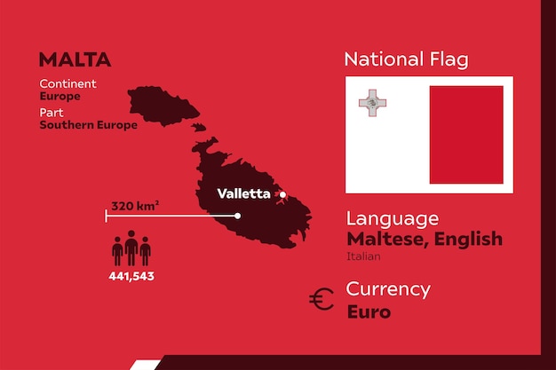 Vettore infografica di malta