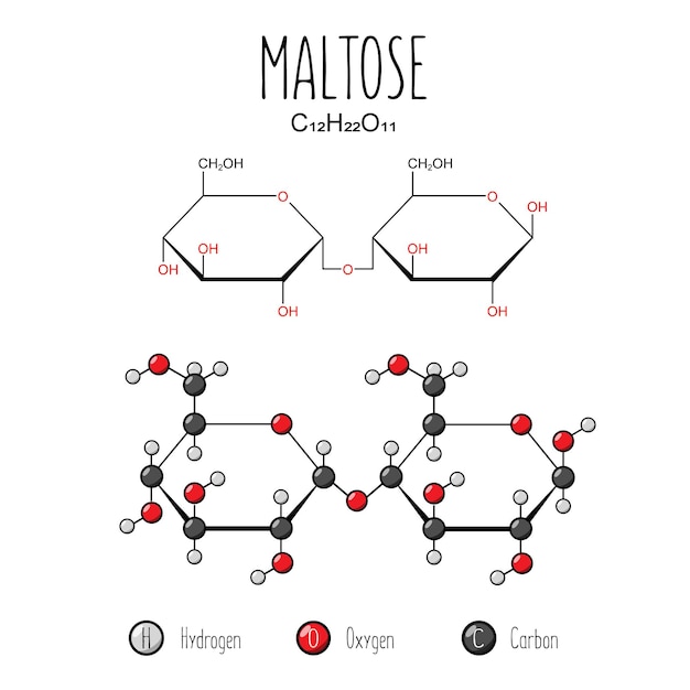 Vector maltose-weergave skeletformule en 2d-structuurillustratie webstijlillustratie bewerkbare vector