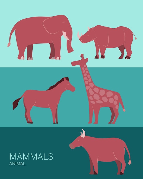 Mammals Animals List Poster