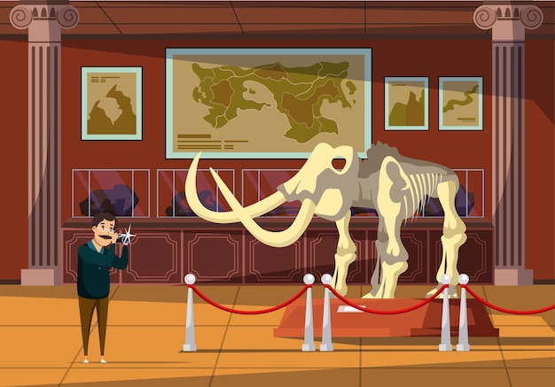 Vector mammoth bones exhibition illustration