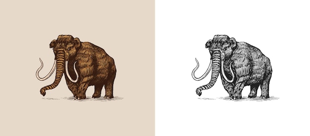 Мамонт или вымершие хоботные хоботные млекопитающие или хоботки крупных животных старинные ретро знаки каракули