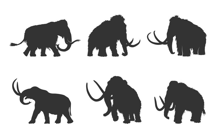 Vector mammoth silhouettes woolly mammoth silhouette mammoth silhouette mammoth vector illustration