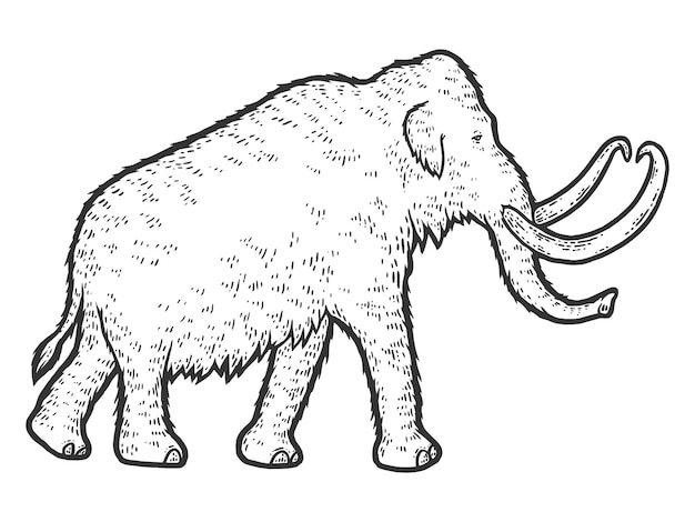 Имитация скретч-доски mammoth sketch черно-белая