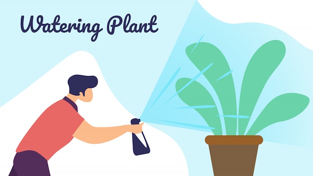 Man Botanist Watering Home Plant from Sprayer Bottle