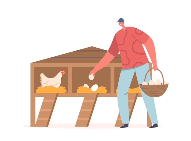 Vettore uomo che raccoglie le uova sul carattere dell'agricoltore dell'azienda agricola del bestiame del pollo che raccoglie le uova da coop che descrive il lavoro agricolo