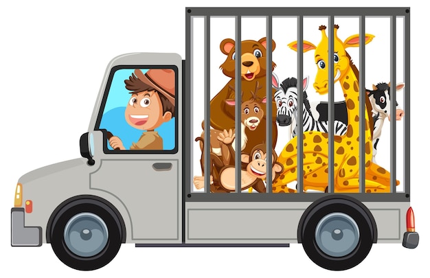 Man driving animal to the zoo isolated