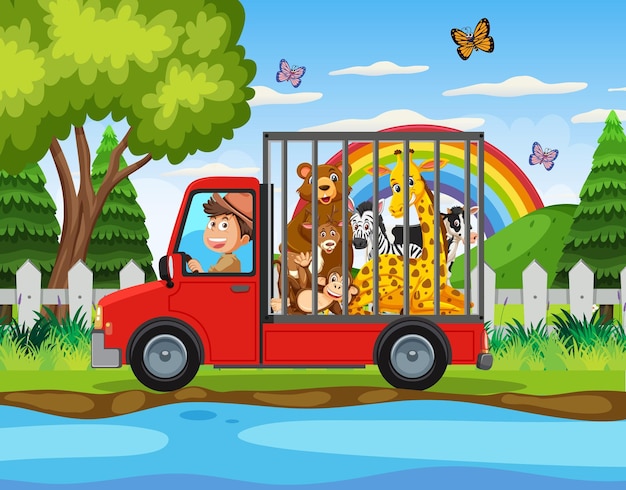 Man driving animal to the zoo