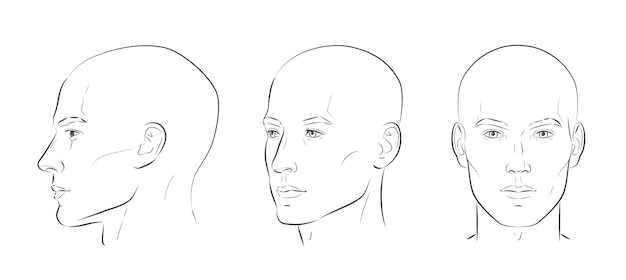 Vector man face portrait three different angles and turns of a male head bald hairless man vector line sketch set of different view front profile threequarter of a boy