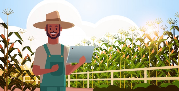 Человек фермер с планшета мониторинга состояния кукурузного поля земляк контроля сельскохозяйственной продукции