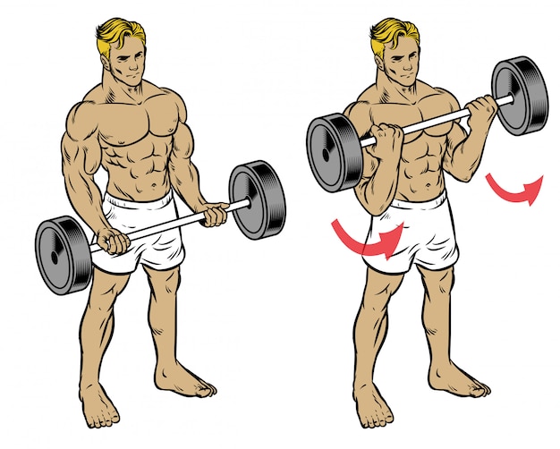 Вектор Человек фитнес-тренировки штангой скручиваемость для тренировки мышц бицепса