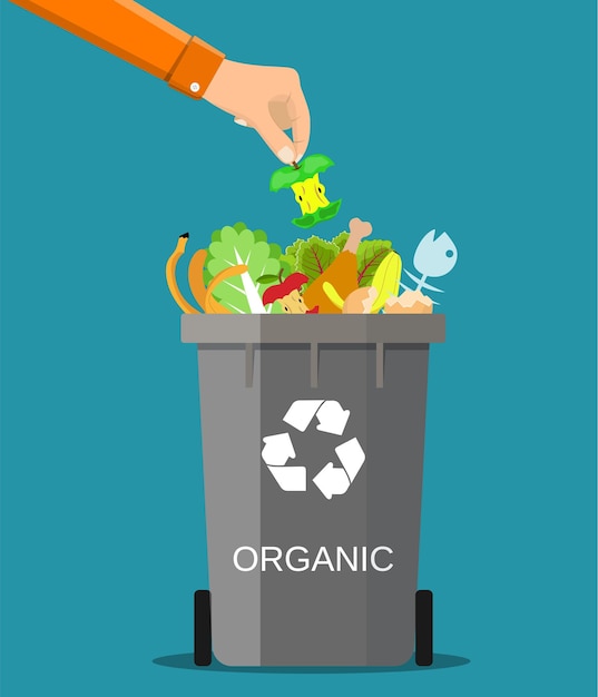 Vector man hand throws garbage into a organic container