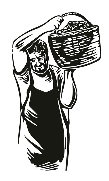 man harvest the grapes in vineyard black vintage vector engraving illustration