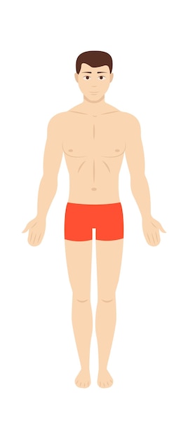 ベクトル 水泳パンツの男 ベクトル図